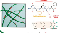 Hydrofobní nanocelulóza by mohla v obalech nahradit ropné produkty Hydrofobní nanocelulóza by mohla v obalech nahradit ropné produkty