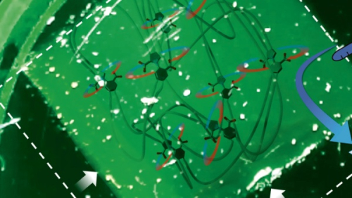 Motormolekulární gel využívající k „pohonu“ chemickou energii © David Leigh / University of Manchester