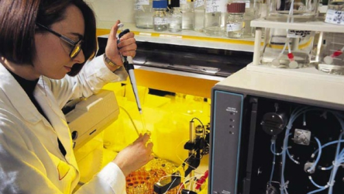 Českým firmám chybí lidé