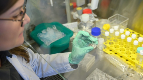 Vědci vyvíjejí unikátní model lidského tenkého střeva