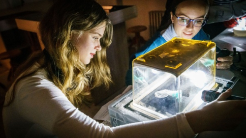 Jak vypadá práce vědkyně? 