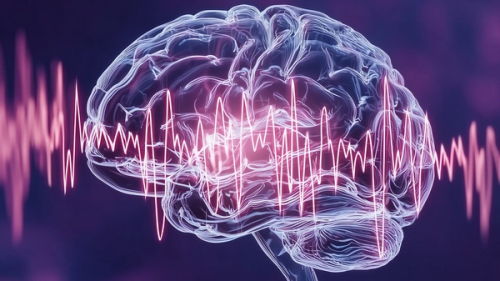 Umělá inteligence pozná, kdy se jedná o epileptický záchvat /Zdroj: IT4Innovations národní superpočítačové centrum, VŠB-TUO/