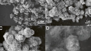 Nanokvěty by mohly chránit mozek před poškozením oxidací
