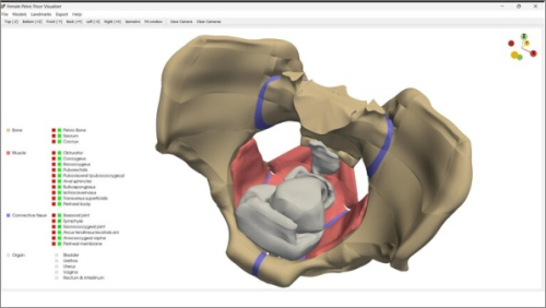 Nová aplikace z dílny NTC má pomoct zvýšit bezpečnost porodů 