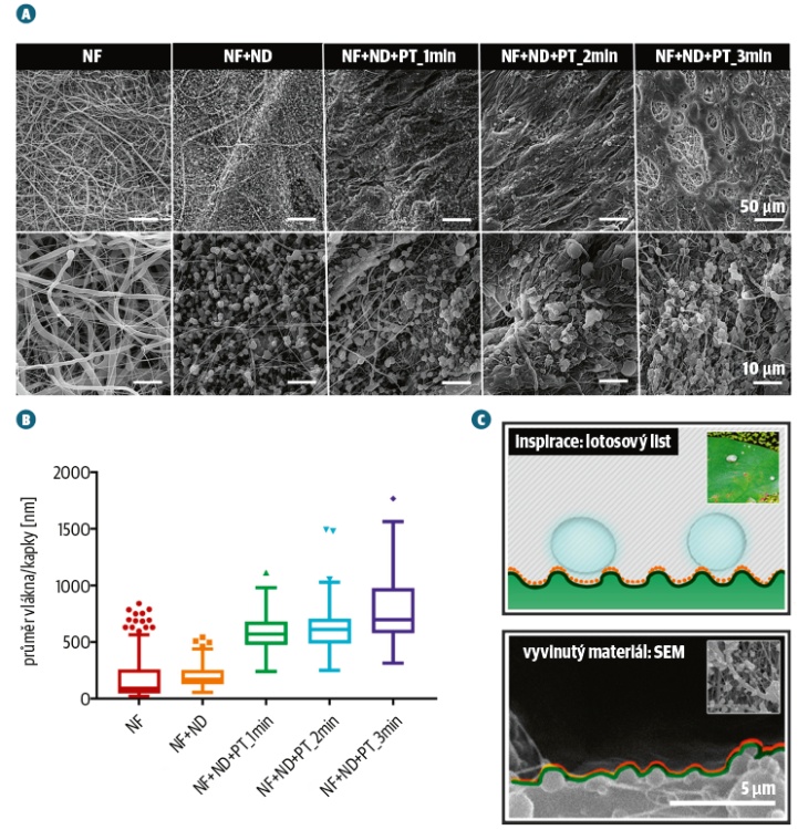 Snímky z elektronové mikroskopie připravených materiálů, měřítko 10 a 50 μm (A) Inspirace superhydrofobní strukturou lotosového listu vedla k vývoji antiadhezivního nanovlákenného materiálu s plazmaticky upraveným povrchem vykazujícím zvýšenou hydrofobicitu a antiadhezivní vlastnosti (B) a (C)