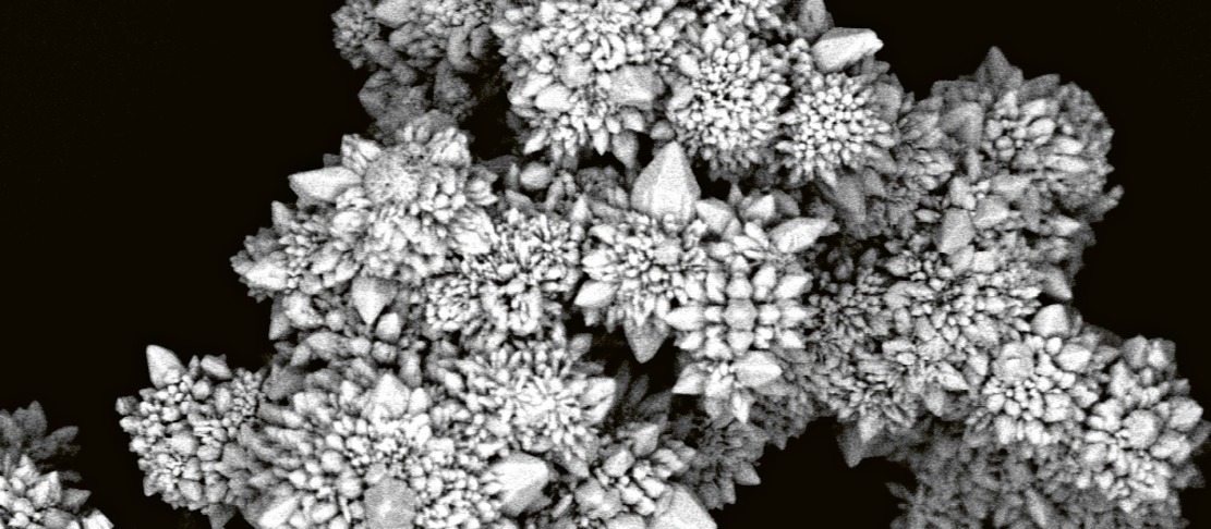 Detailní pohled na shluk mikromotorů © Department of Chemistry and Biochemistry and the Centre for NanoScience Research, Concordia University