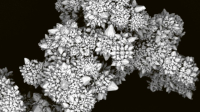 Detailní pohled na shluk mikromotorů © Department of Chemistry and Biochemistry and the Centre for NanoScience Research, Concordia University