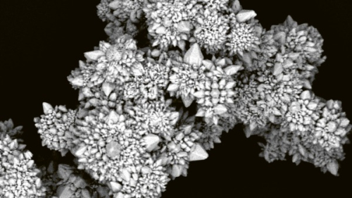 Detailní pohled na shluk mikromotorů © Department of Chemistry and Biochemistry and the Centre for NanoScience Research, Concordia University