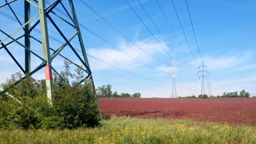 Vysoké ceny energií zabrzdí podle EGU plány na výstavbu až 40 % datových center v ČR 