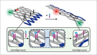 Nanoroboti založení na principech nastavitelných soustav DNA origami fungují autonomně