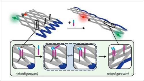 Nanoroboti založení na principech nastavitelných soustav DNA origami fungují autonomně