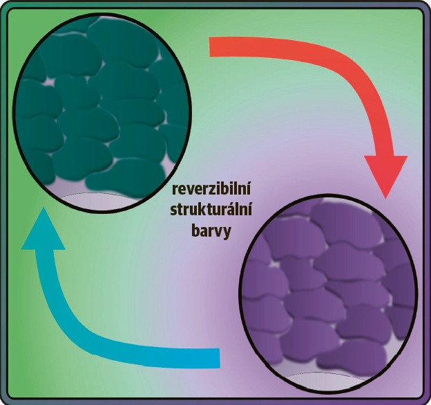 Dynamicky laditelné strukturální barvy © Aritra Biswas / University of Florida