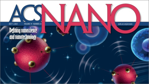 Obálka časopisu ACS Nano, na níž je obrázek k článku Martina Pumery /Foto: ACS Nano/