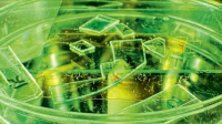 Nová plastová fólie s nanopilíři roztrhá viry jako nic